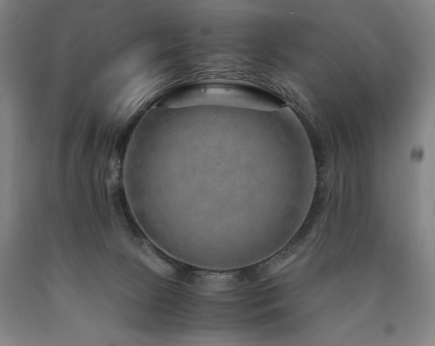 X0000090900081200707301422