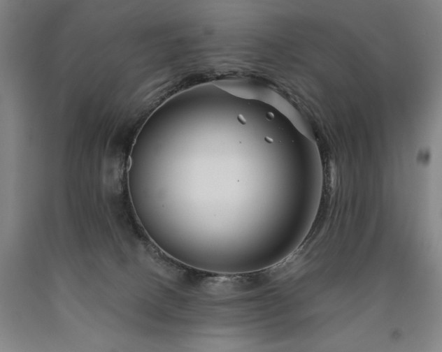 X0000090900082200707301422