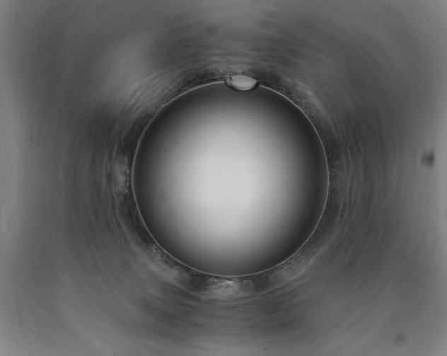 X0000090900083200707301422