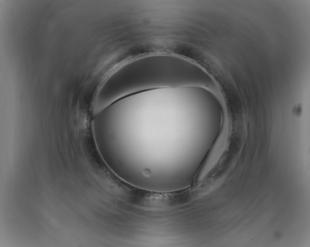 X0000090900084200707301422