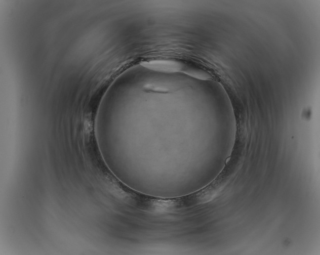 X0000090900085200707301422