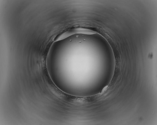 X0000090900086200707301422