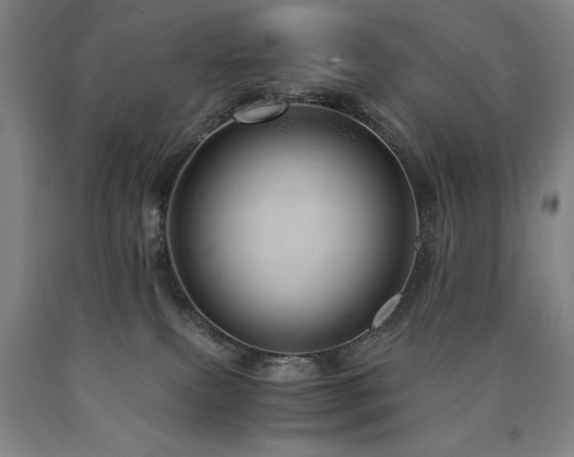 X0000090900087200707301422