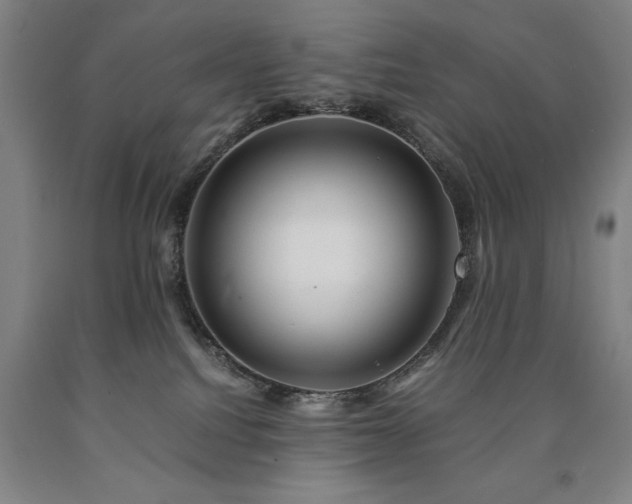 X0000090900088200707301422