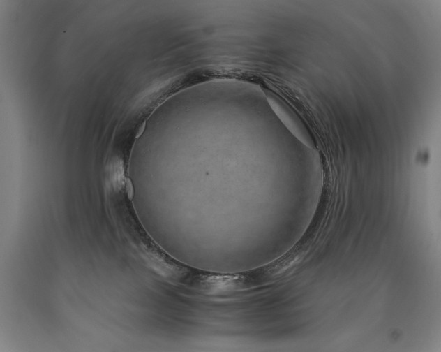 X0000090900089200707301422