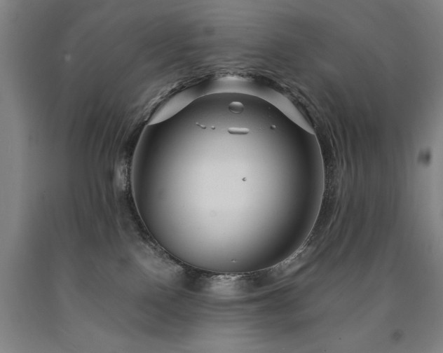 X0000090900090200707301422