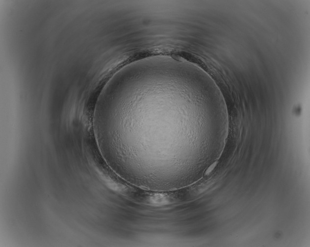 X0000090900091200707301422