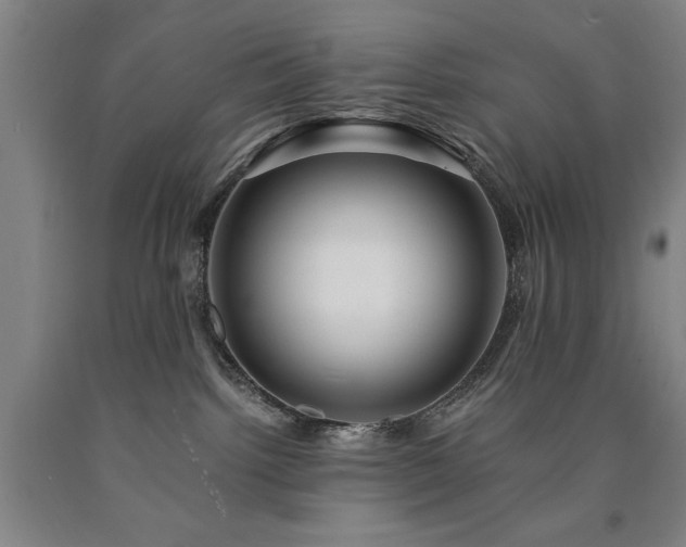 X0000090900092200707301422