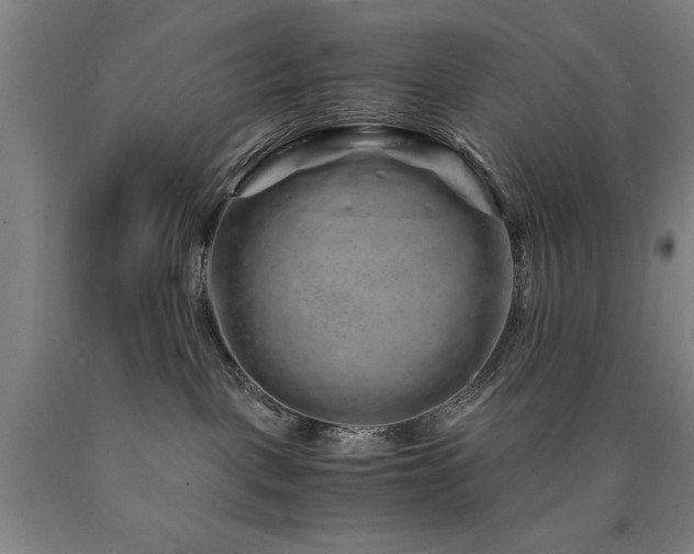 X0000090900093200707301422