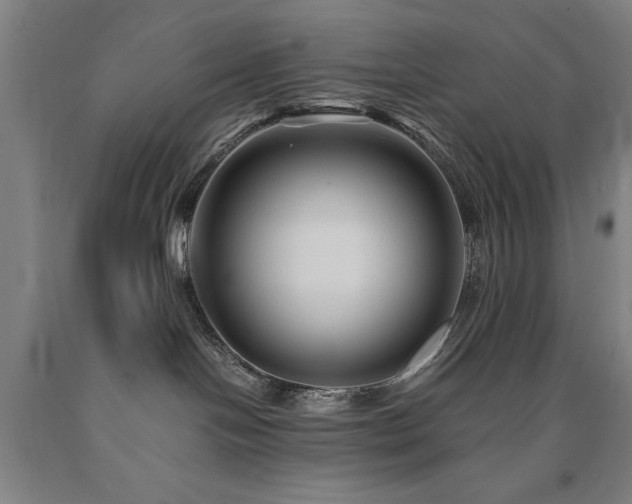 X0000090900094200707301422