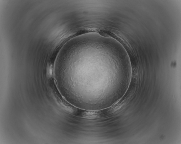X0000090900095200707301422