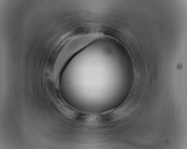 X0000090900096200707301422