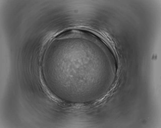 X0000090900097200707301421