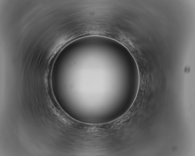 X0000090900098200707301421