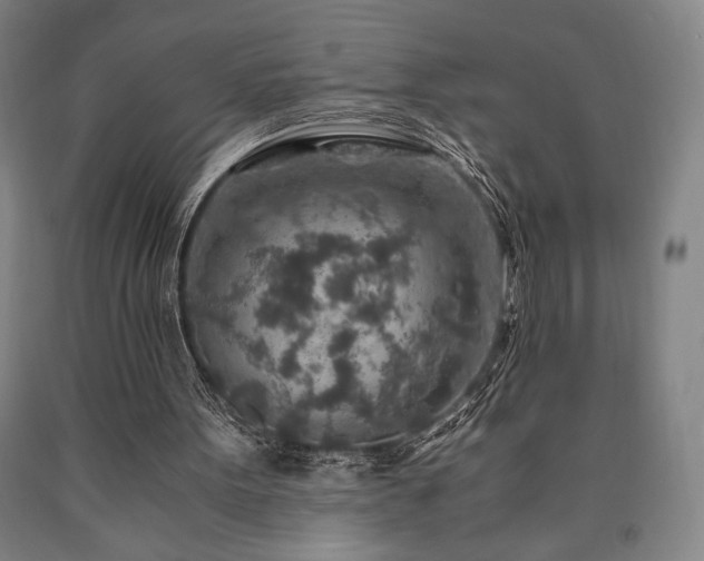 X0000090900099200707301421
