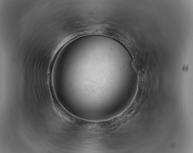 X0000090900100200707301421