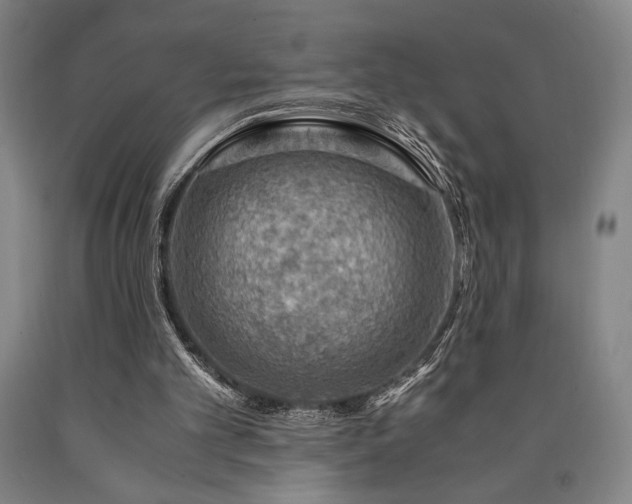 X0000090900101200707301421