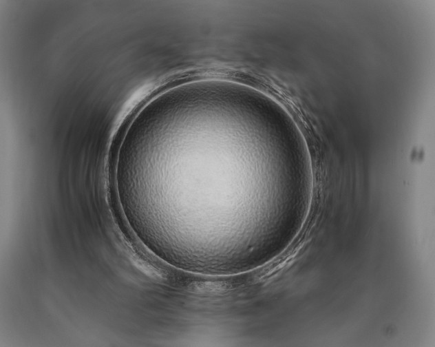 X0000090900102200707301421