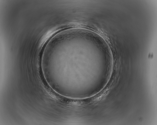 X0000090900103200707301421