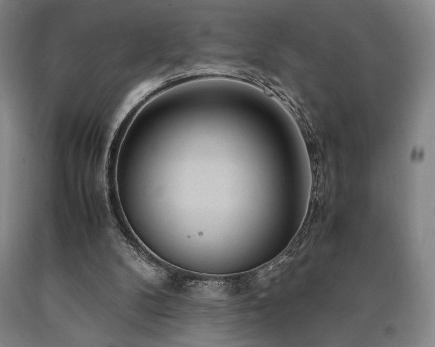 X0000090900104200707301421