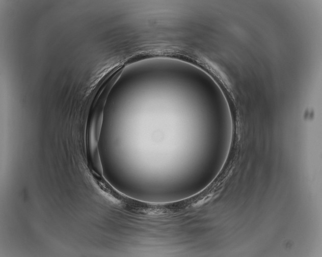 X0000090900105200707301421
