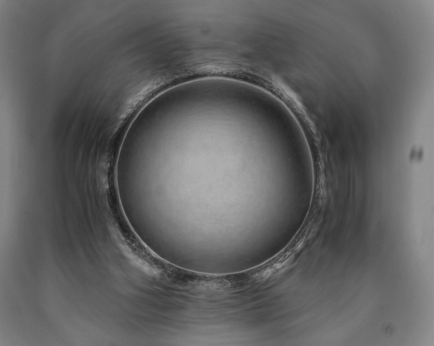 X0000090900106200707301421
