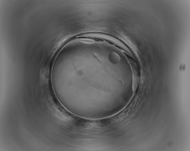 X0000090900107200707301421