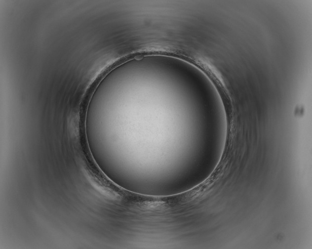 X0000090900108200707301421