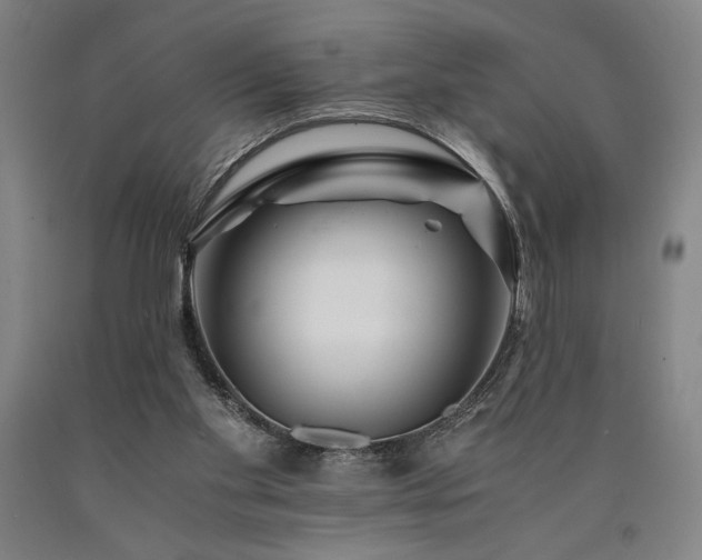 X0000090900109200707301421