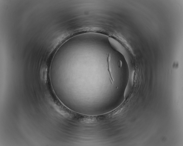 X0000090900110200707301421
