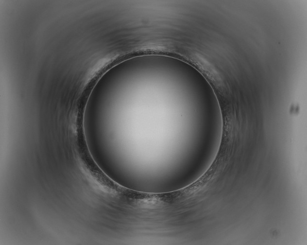 X0000090900112200707301421