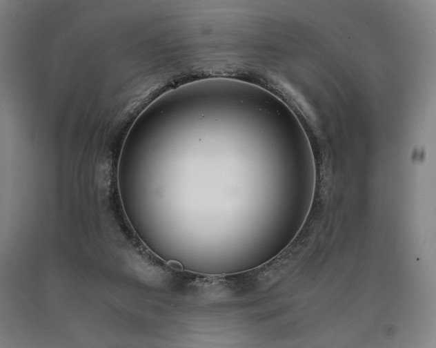 X0000090900113200707301421