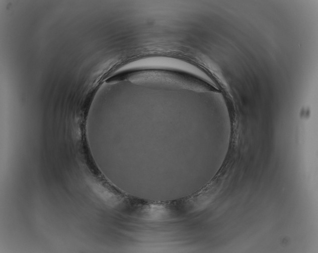 X0000090900114200707301421