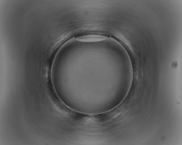 X0000090900115200707301421