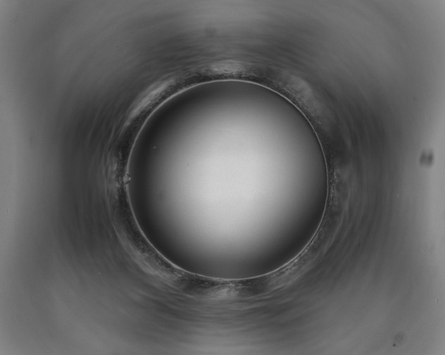 X0000090900116200707301421
