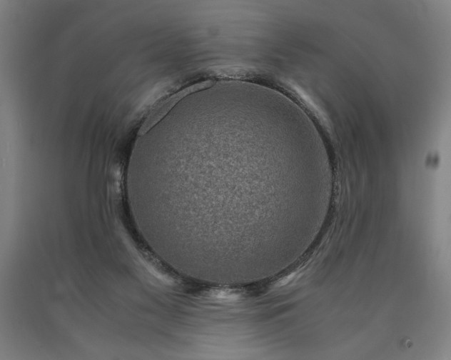 X0000090900117200707301421