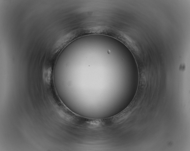 X0000090900118200707301421