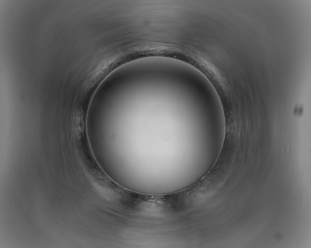 X0000090900119200707301421