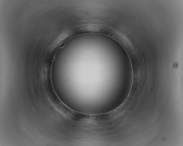 X0000090900120200707301421