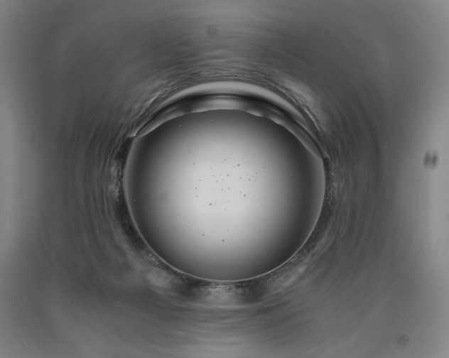 X0000090900121200707301421