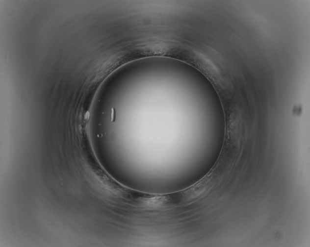 X0000090900122200707301421