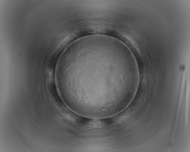 X0000090900123200707301421