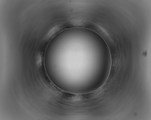 X0000090900124200707301421