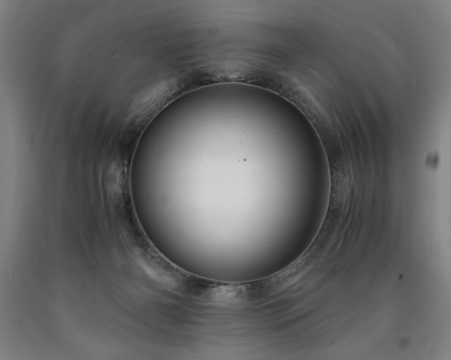 X0000090900126200707301421