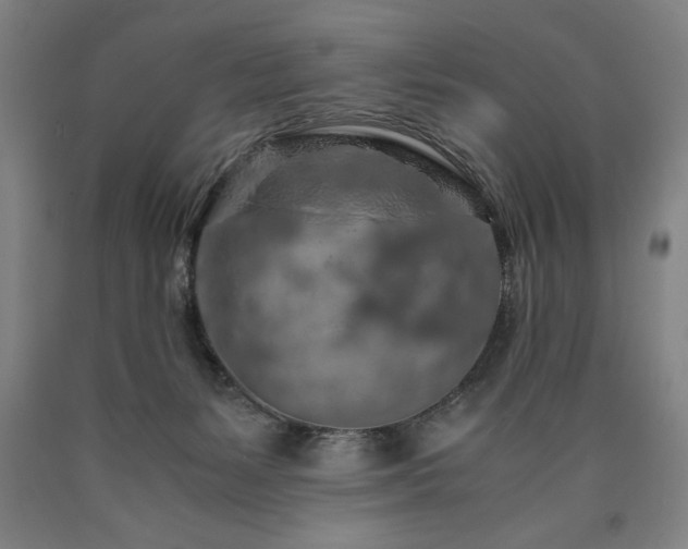 X0000090900127200707301421