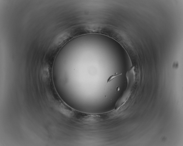 X0000090900128200707301421