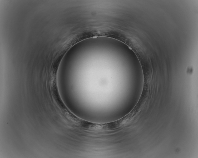 X0000090900129200707301421