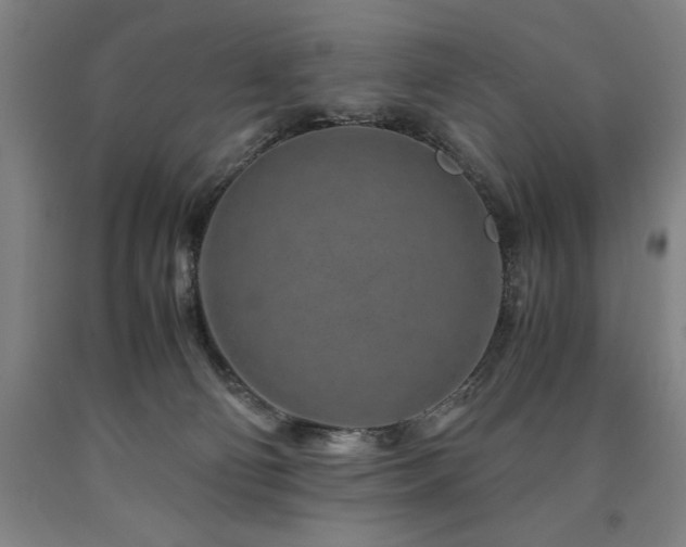 X0000090900130200707301421