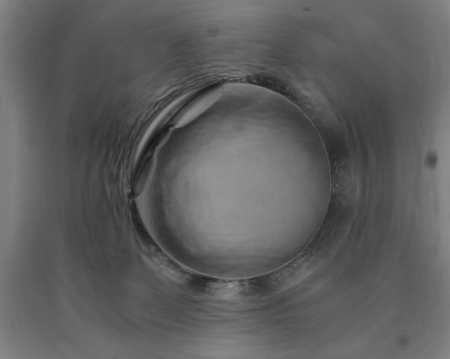 X0000090900131200707301421