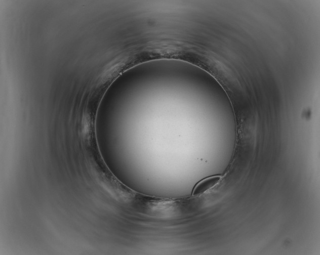 X0000090900132200707301421